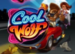 Cool Wolf