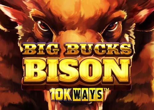 Big Bucks Bison 10K Ways