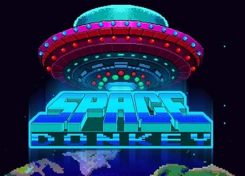 Space Donkey