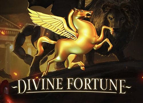 Divine Fortune