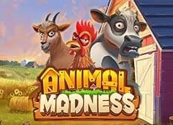 Animal Madness