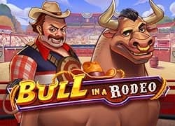 Bull in a Rodeo