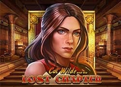 Cat Wilde and the Lost Chapter