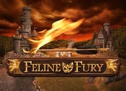Feline Fury