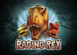 Raging Rex