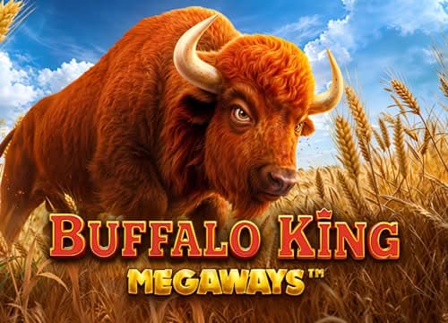 PPBuffaloKingMegaways