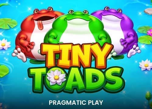 Tiny Toads