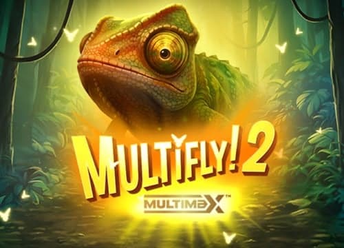 YGMultifly2Multimax